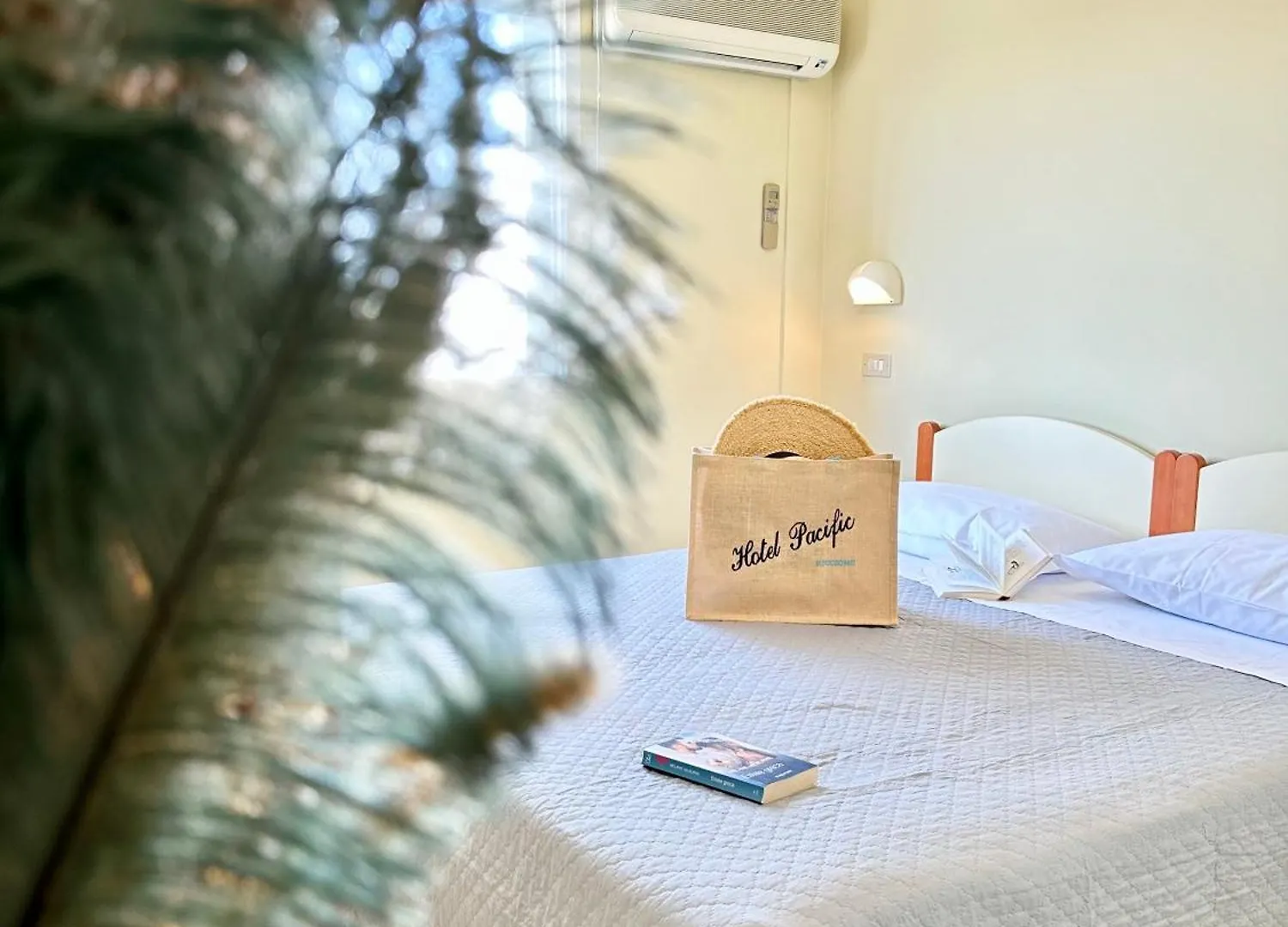 ***  Hotel Pacific Riccione Italy